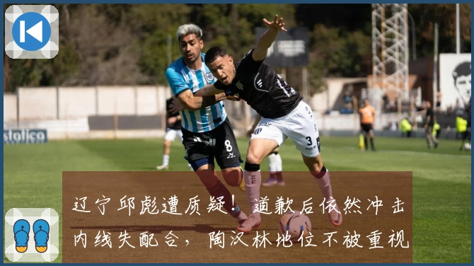 辽宁邱彪遭质疑！道歉后依然冲击内线失配合，陶汉林地位不被重视